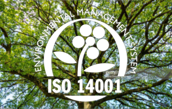 Puu ISO 14001 -ympäristöjärjestelmäleiman taustalla